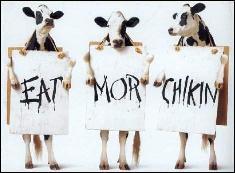 Eat More Chicken