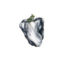 Ween White Pepper Cover